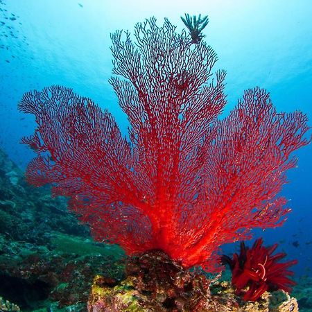 Adani Ksamil Exteriör bild