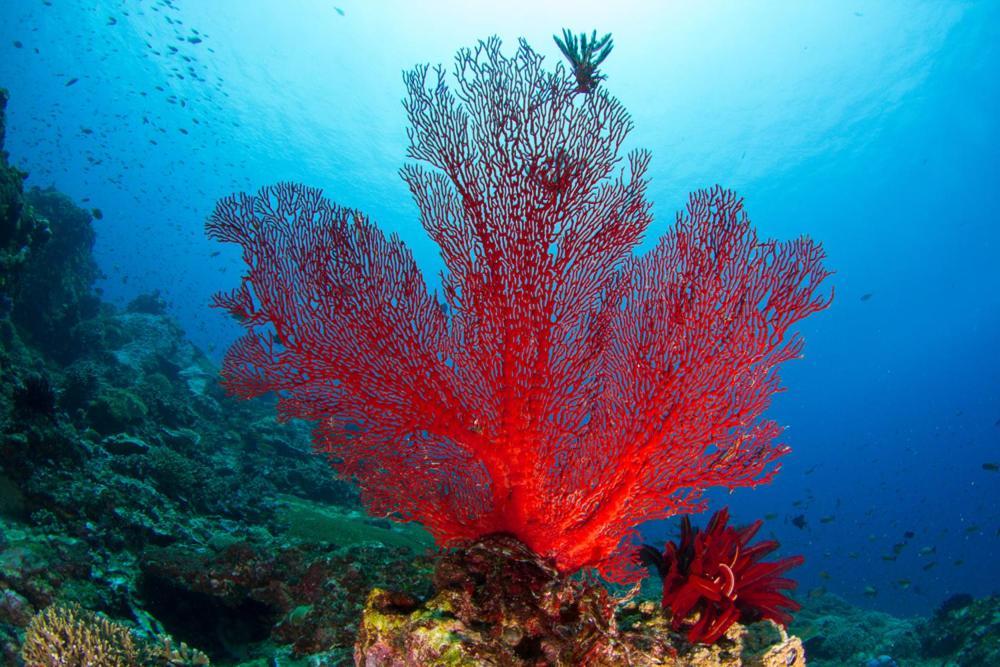 Adani Ksamil Exteriör bild